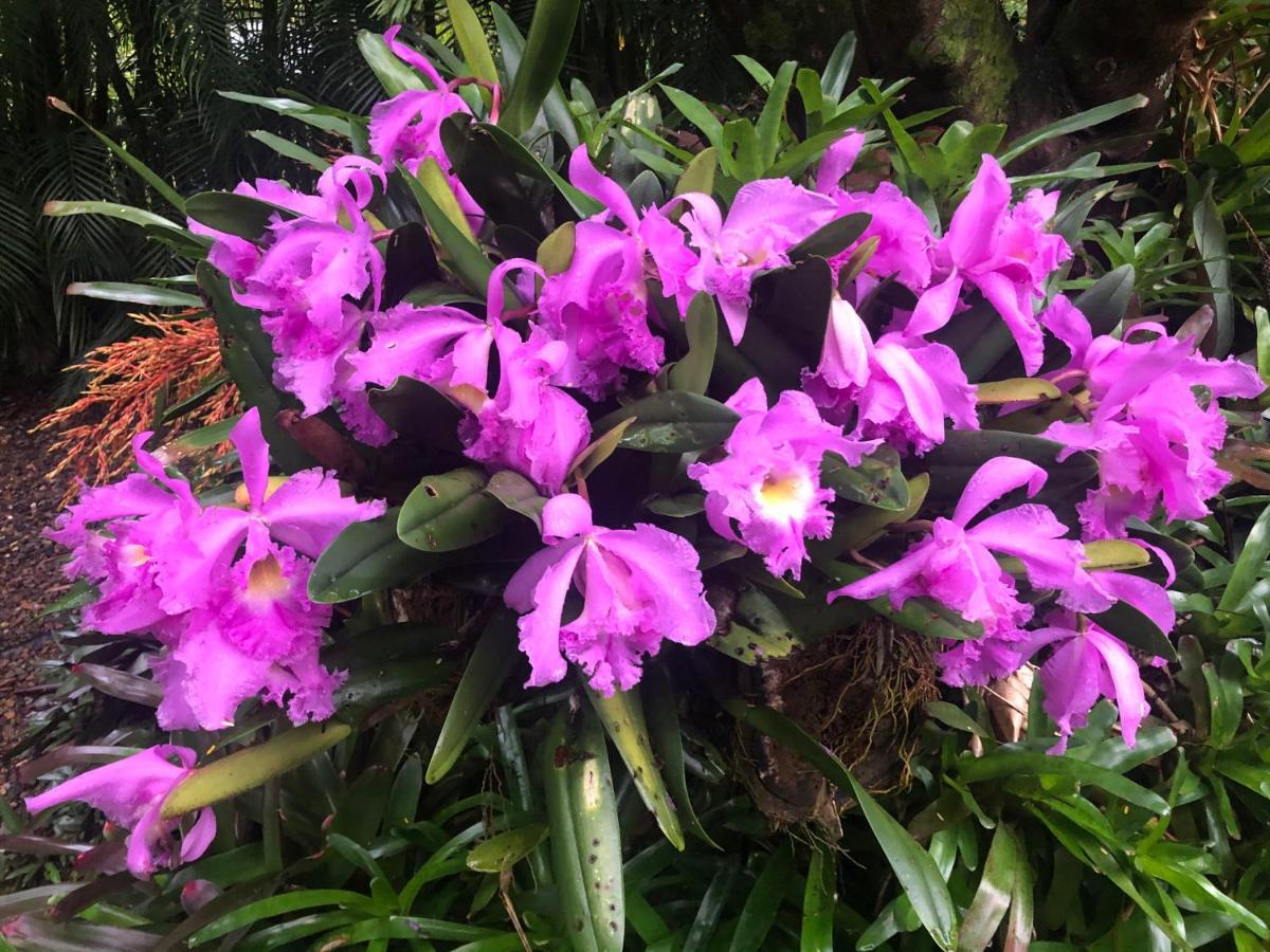 Bed and Breakfast Eden Rest Cooroy Экстерьер фото