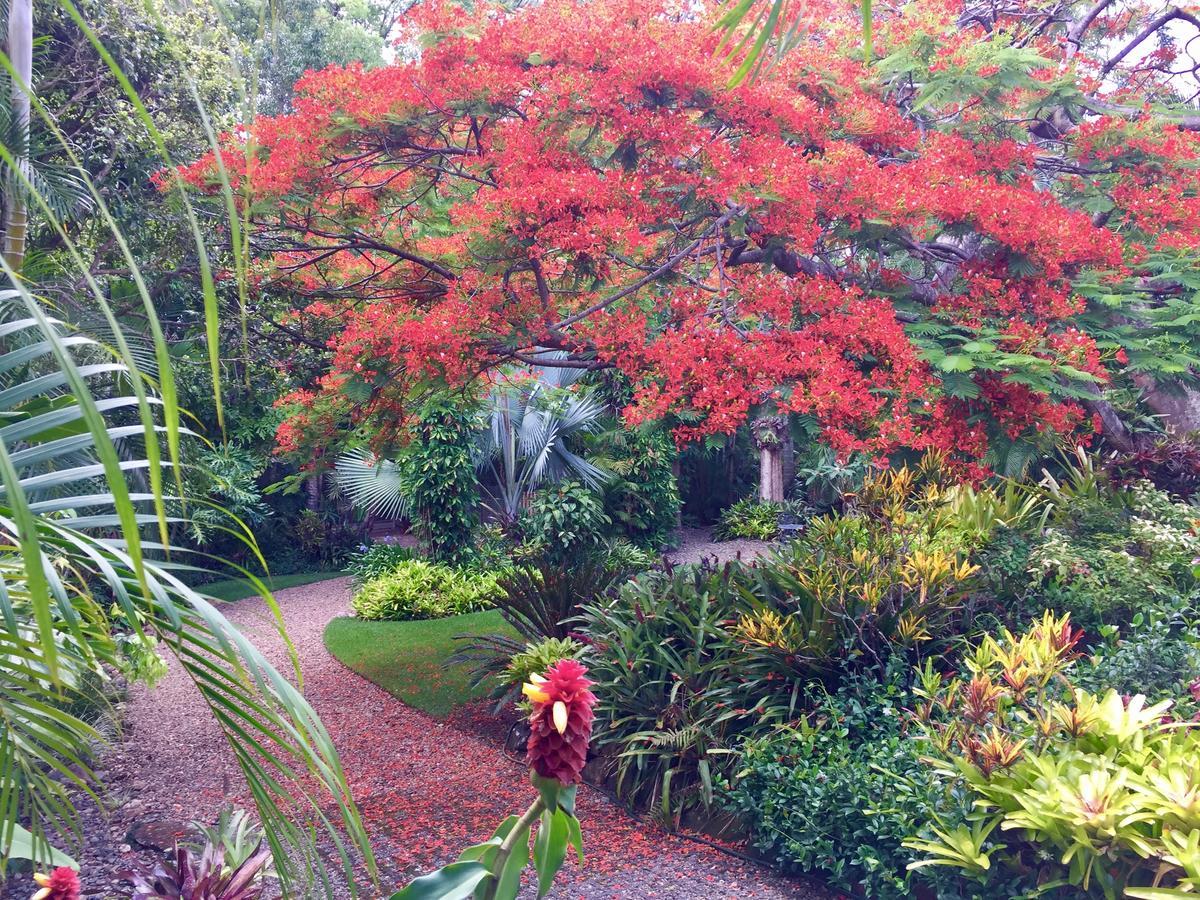 Bed and Breakfast Eden Rest Cooroy Экстерьер фото